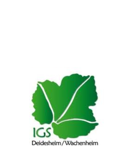 Tag der Berufsorientierung an der IGS Deidesheim